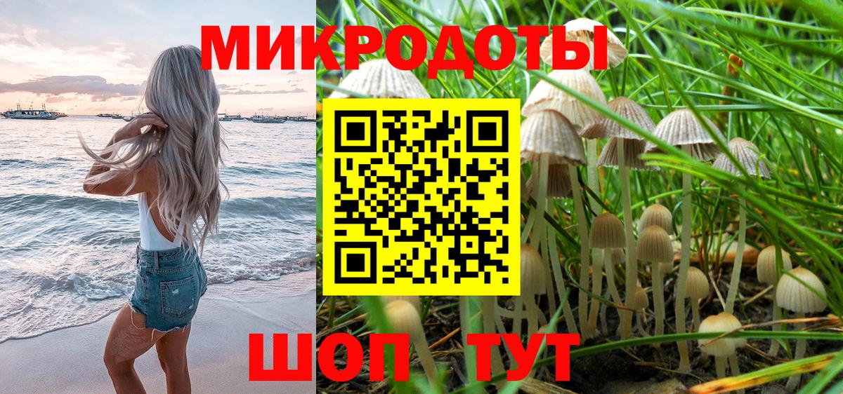 Галлюциногенные грибы Psilocybine cubensis Ялта